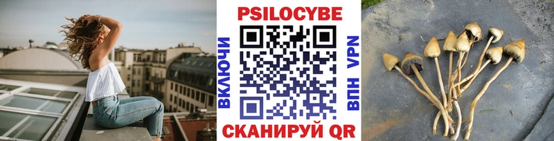 Псилоцибиновые грибы Psilocybine cubensis  Северская 